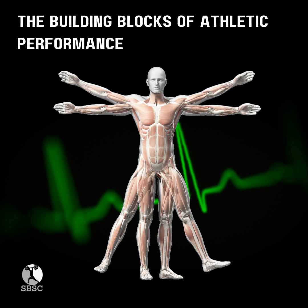 Biomotor Abilities in Athlete Development 